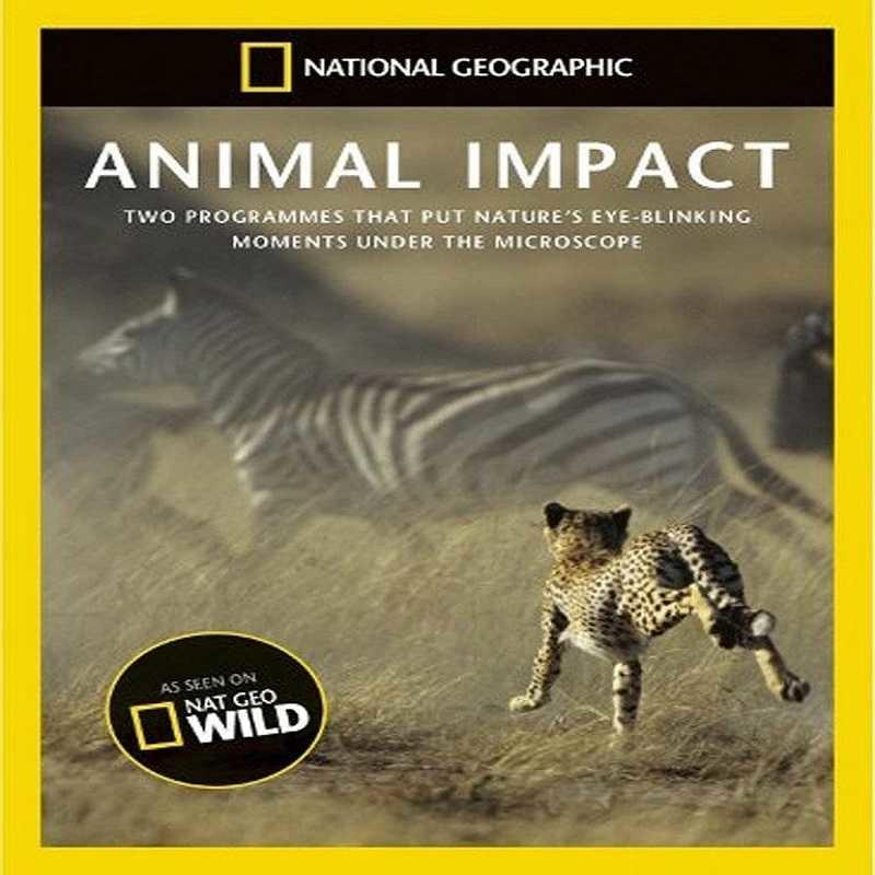 動物構造大揭密 Animal Impact 共兩集 DVD版 / Blu-ray版