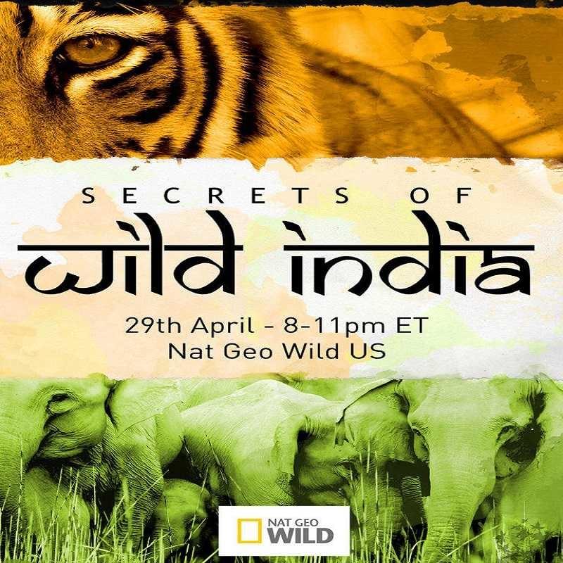 狂野印度 Secrets of Wild India 共三集 DVD版 / Blu-ray版