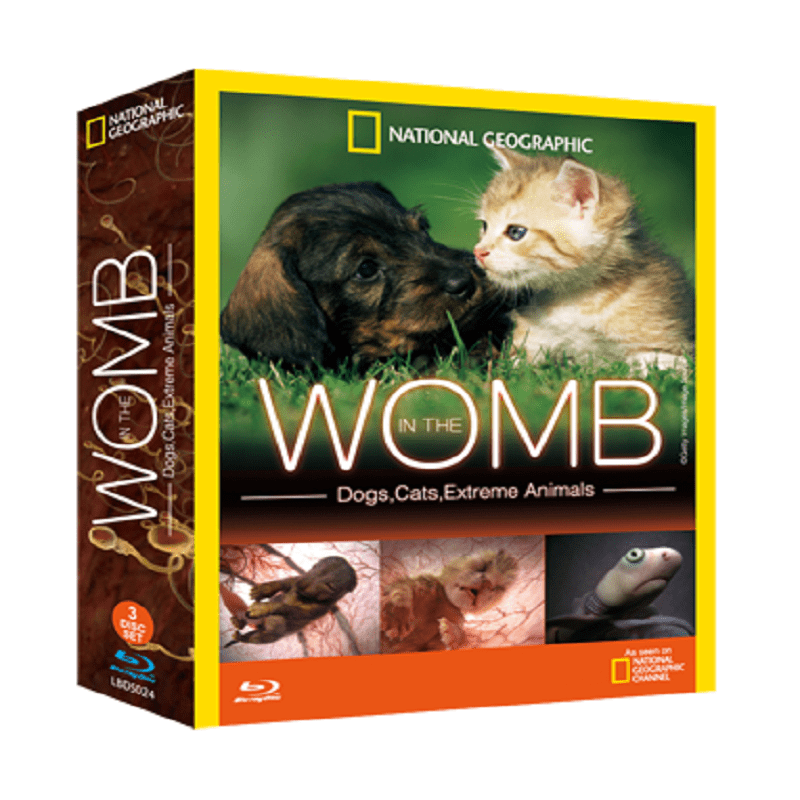 生態孕育奇觀 In The Womb 共三集 DVD版 / Blu-ray版